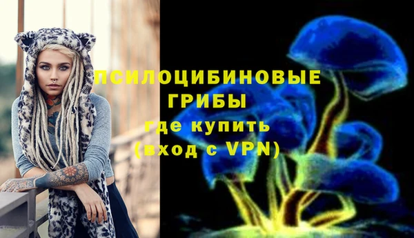 герыч Инта