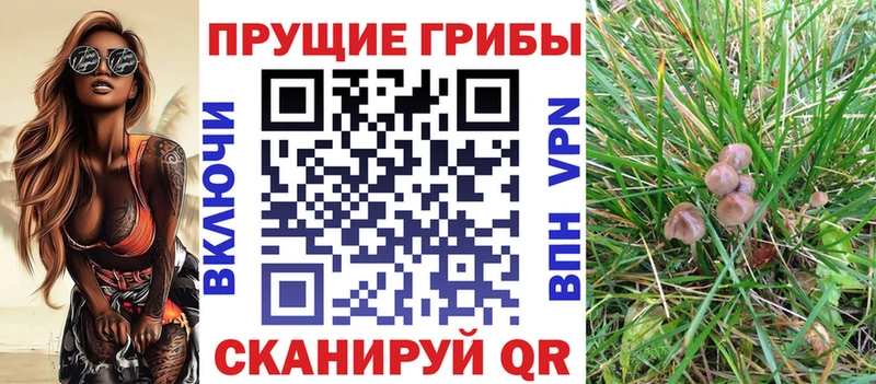 Купить где  Бодайбо  Псилоцибиновые грибы мухоморы 